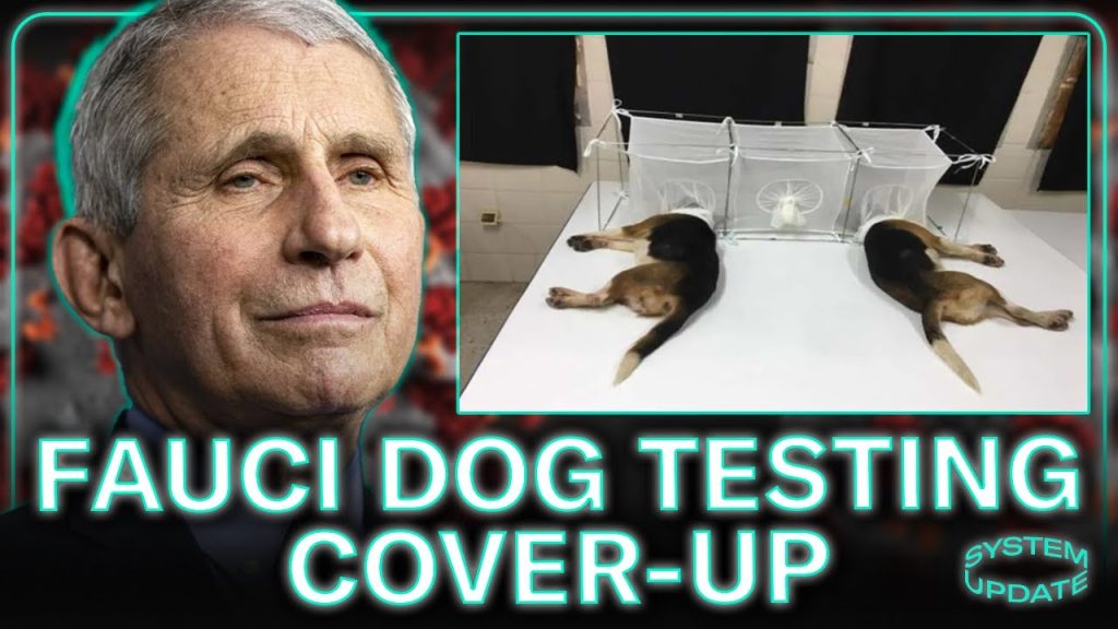 Dr. Fauci’s Dog Experiment Cover-Up: EXPLAINED by Reporter Leighton Woodhouse Dr. Fauci’s Dog Experiment Cover-Up: EXPLAINED by Reporter Leighton Woodhouse