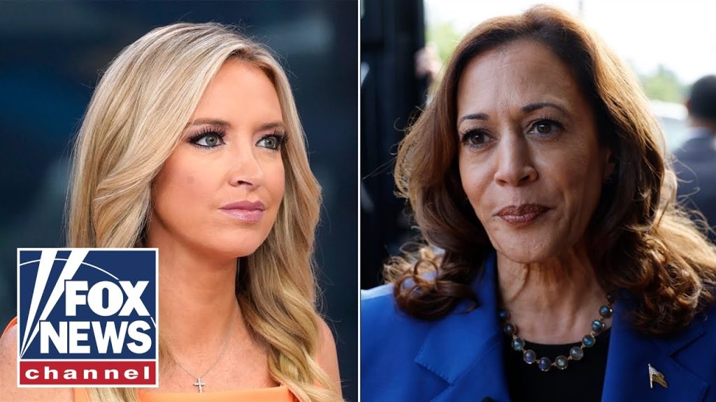 Kayleigh McEnany: This alone should disqualify Kamala!