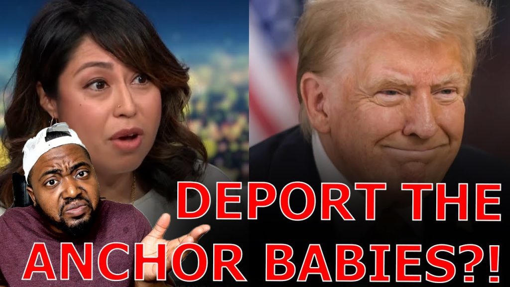 CNN Panel MELTS DOWN Over Trump Declaring He Will Mass Deport Illegal Immigrant Babies And Families!