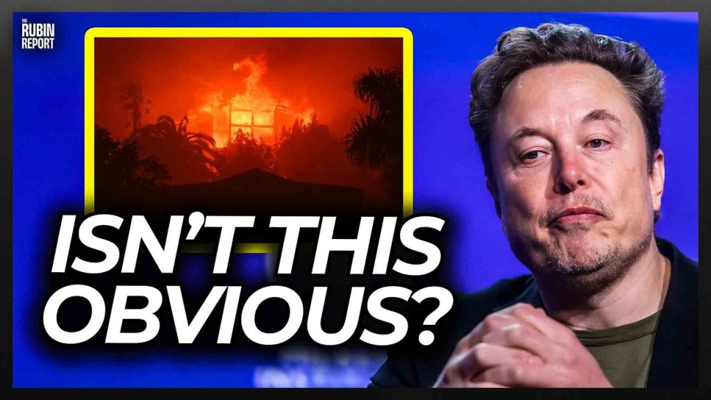 Elon Musk Notices Something About the Wildfires No One Noticed