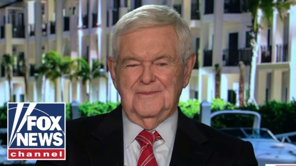 Newt Gingrich: Politicians in California ‘range between radically stupid and corrupt’