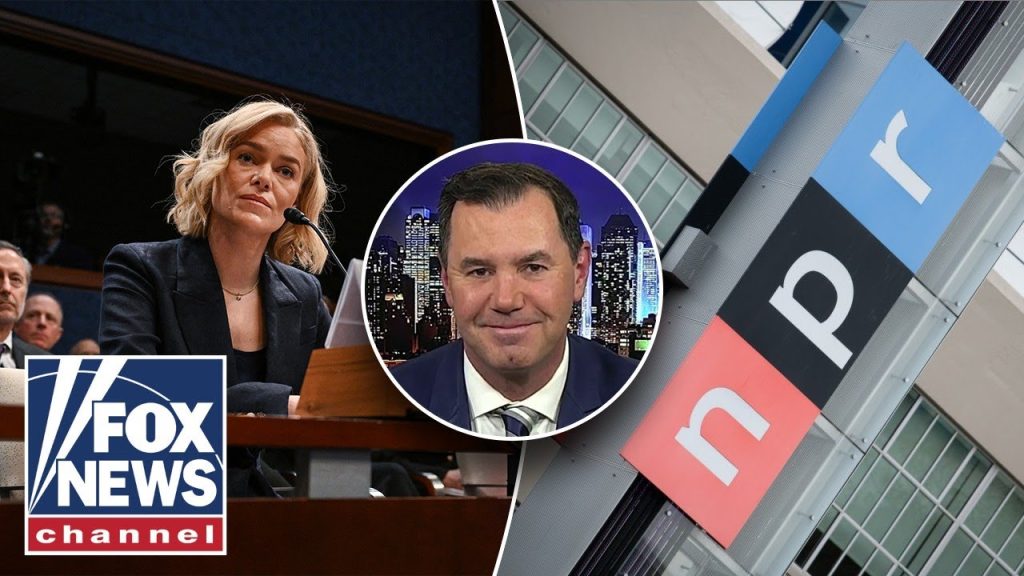 NPR CEO was a ‘human Chernobyl’ at hearing, critic says